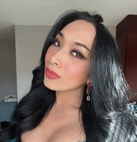 Shemale Vicky - Acompañantes transexual in Cape Town