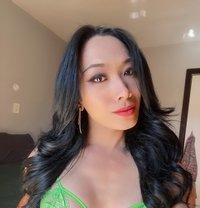 Shemale Vicky - Transsexual escort in Cape Town