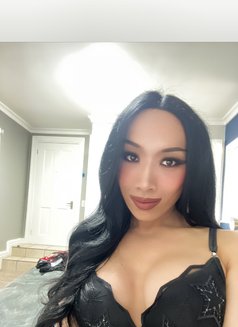 Shemale Vicky69 - Acompañantes transexual in Cape Town Photo 15 of 17