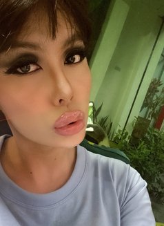 Ts Tino Tino - Transsexual escort in Ho Chi Minh City Photo 9 of 25