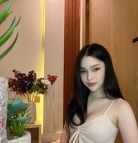 Shemale - Acompañantes transexual in Khobar