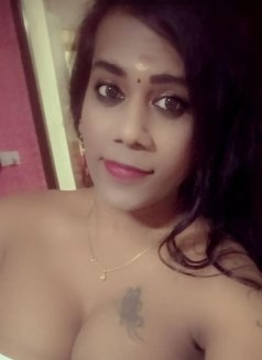 Shemale (Cock N Boobs ) BUDGET FRIENDLY - Transsexual escort in Chennai Photo 6 of 19