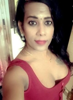 Shemale (Cock N Boobs ) BUDGET FRIENDLY - Transsexual escort in Chennai Photo 7 of 19