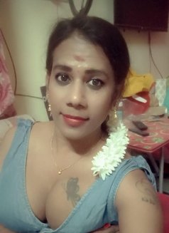 Shemale (Cock N Boobs ) BUDGET FRIENDLY - Transsexual escort in Chennai Photo 19 of 19