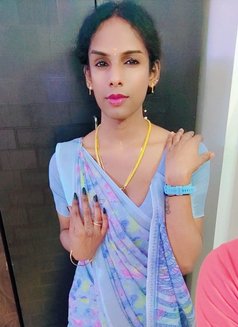 Shemale Ziya - Transsexual escort in Chennai Photo 1 of 4