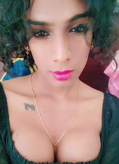 Shemale Ziya - Transsexual escort in Chennai Photo 2 of 4