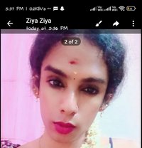 Shemale Ziya - Transsexual escort in Chennai