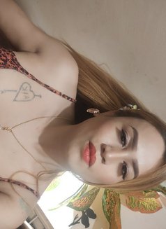 Shemalefun - Acompañantes transexual in Bangalore Photo 9 of 9