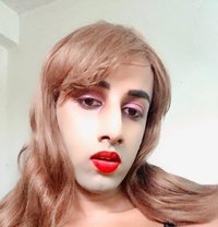 Shenila Daniel - Acompañantes transexual in Colombo