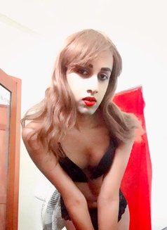 Shenila Daniel - Transsexual escort in Colombo Photo 3 of 9