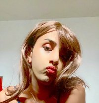 Shenila Daniel - Acompañantes transexual in Colombo