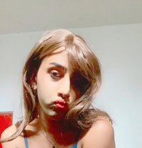 Shenila Daniel - Transsexual escort in Colombo