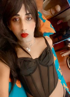 Shenila Daniel - Transsexual escort in Colombo Photo 8 of 12