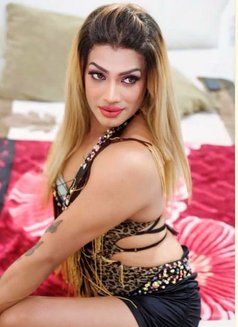 Shenila Fernandez - Male escort in Colombo Photo 5 of 8