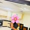 Anisha - escort in Dubai Photo 1 of 6