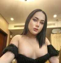 Shereen New - Transsexual escort in Khobar