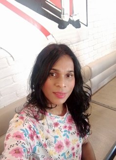 Sheril - Transsexual escort in Colombo Photo 19 of 19