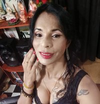 Sheril - Transsexual escort in Colombo