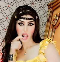 Sherry - Acompañantes transexual in Cairo
