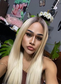 Shetar - Acompañante transexual in Ko Samui Photo 6 of 11