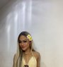 Shetar - Transsexual companion in Ko Samui Photo 1 of 11