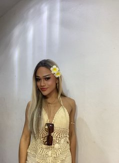Shetar - Acompañante transexual in Ko Samui Photo 1 of 11