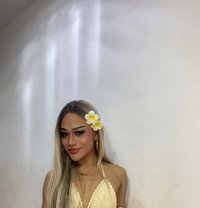 Shetar - Acompañante transexual in Ko Samui
