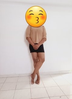Sissy for massage (whatsapp only) - Transsexual escort in Colombo Photo 10 of 10