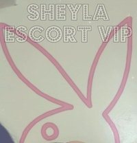 Sheyla Escort Vip Tegucigalpa - escort in Tegucigalpa