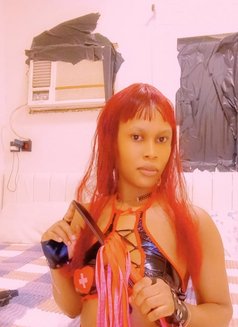 Sheylla Vip Mistress Exit 8 - escort in Riyadh Photo 4 of 4