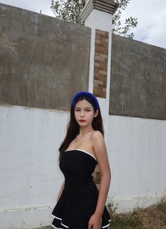 Sheyy Fuck My Pussy - escort in Seoul Photo 7 of 8