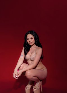 Shezerade - escort in Angeles City Photo 10 of 11