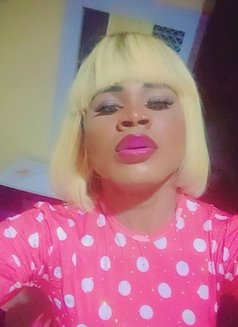 Shibba Amarachi - Transsexual escort in Abuja Photo 1 of 1