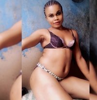 Shibba - Acompañantes transexual in Abuja