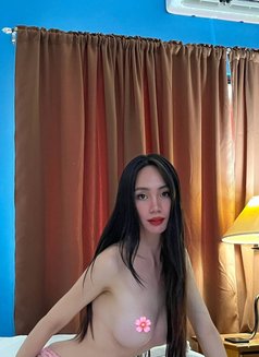 Shienna Cum - Transsexual escort in Davao Photo 2 of 6