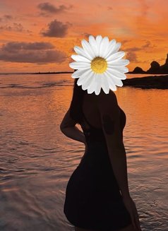 Shikha - companion in New Delhi Photo 1 of 3