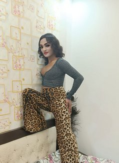 Big Shilpa ❤ - Transsexual escort in New Delhi Photo 1 of 6