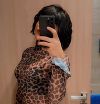 Shimoسوريه - Acompañantes transexual in Dubai