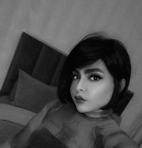 Shimoسوريه - Acompañantes transexual in Dubai