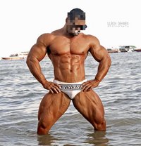 Shiney - Male escort in Bangkok