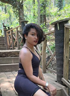 Shiney shemale - Transsexual escort in Hyderabad Photo 11 of 11