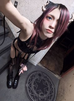 Shino - escort in Yokohama Photo 3 of 4