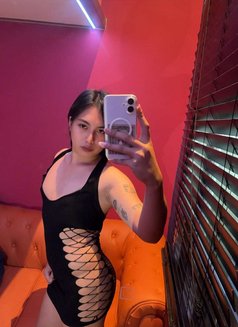Shiobe - Transsexual escort in Singapore Photo 7 of 8