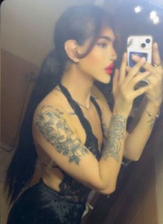 Shiraaz Star - Acompañantes transexual in Rabat Photo 10 of 14