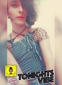 H0TCAT𓃠 - Acompañantes transexual in Cairo Photo 8 of 29