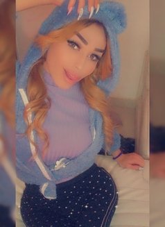 Shiraz, Lebanese Transsexual escort in Beirut
