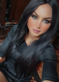 Shiraz Shera - Transsexual escort in Amman Photo 4 of 5