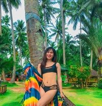 Shirleycock - Transsexual escort in Davao