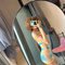 ShirleyIndependentRealLovestoExplore/Fun - escort in Dubai Photo 4 of 6