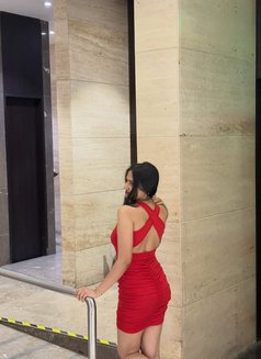 Nisha Incall/outcall Available - escort in Berlin Photo 1 of 4